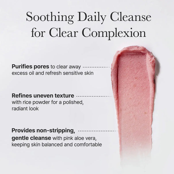 Arencia Fresh Rosehip Mochi Cleanser - JOLIE'S